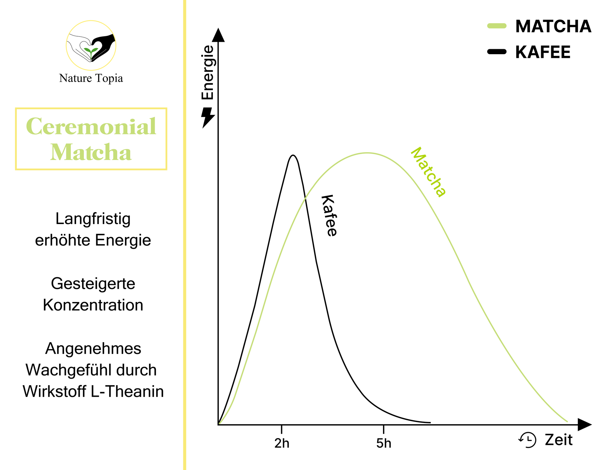 Matcha vs Kaffee – Unterschied Wirkung: nachhaltige Energie, bessere Konzentration, weniger Absturz