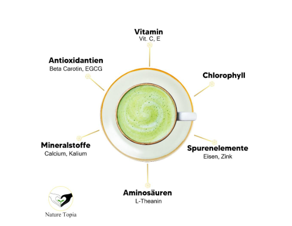 Matcha vs. Grüner Tee: Was sind die Unterschiede?
