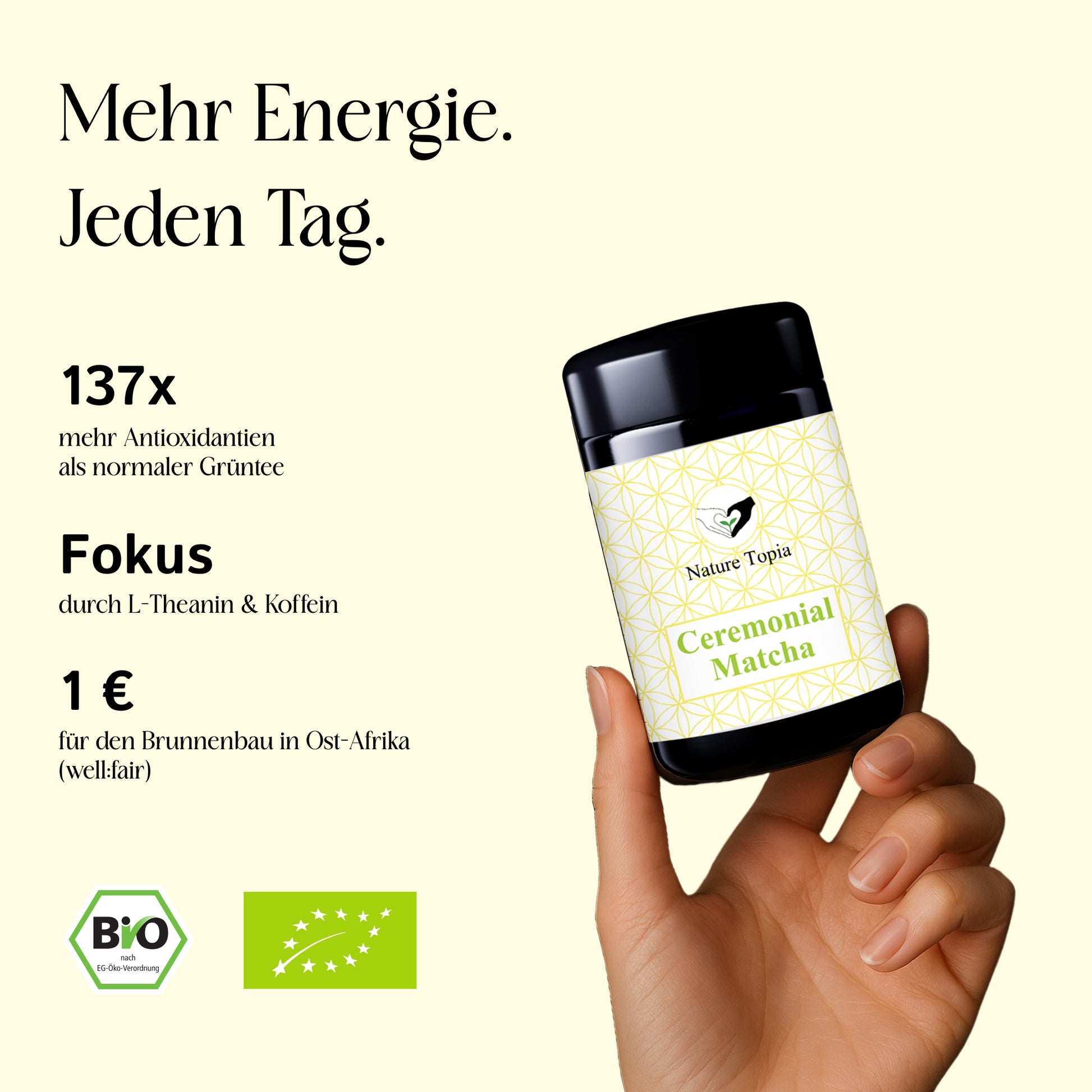 Bio Ceremonial Matcha im Violettglas und Vortele des Matchas