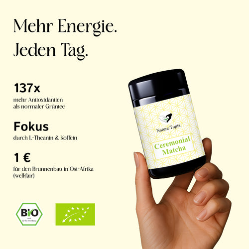 Bio Ceremonial Matcha im Violettglas und Vortele des Matchas