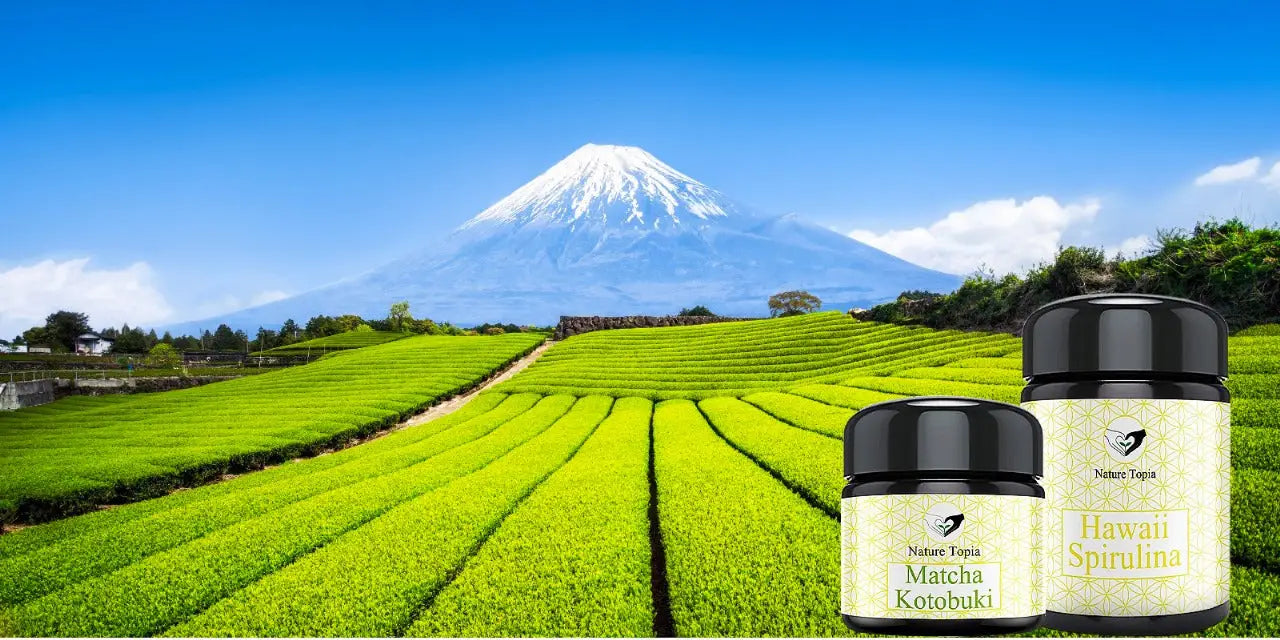 Spirulina Pulver kaufen – Bio Superfood Nature Topia