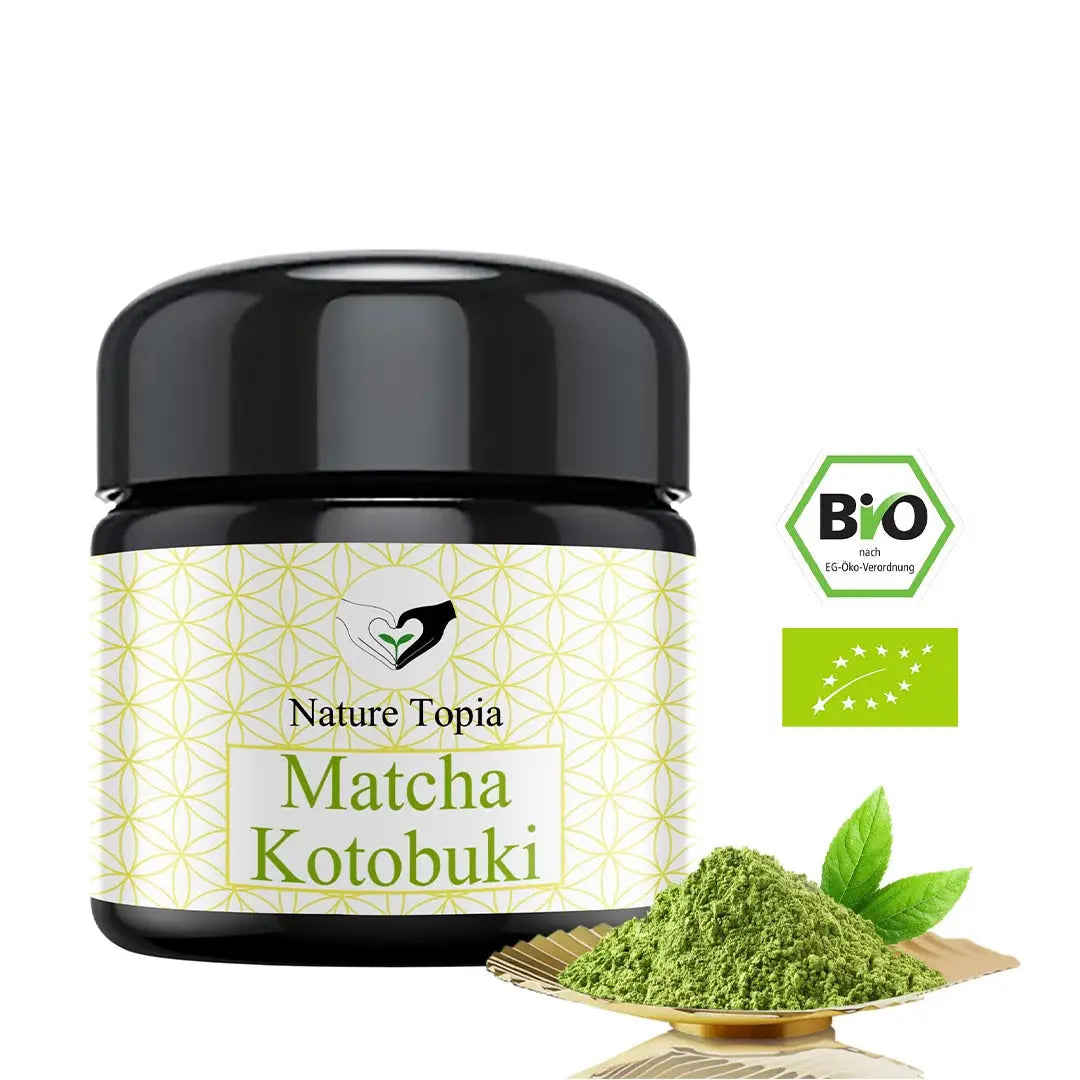 Organisches Matcha Pulver kaufen – Premium Qualität & Gesundheit