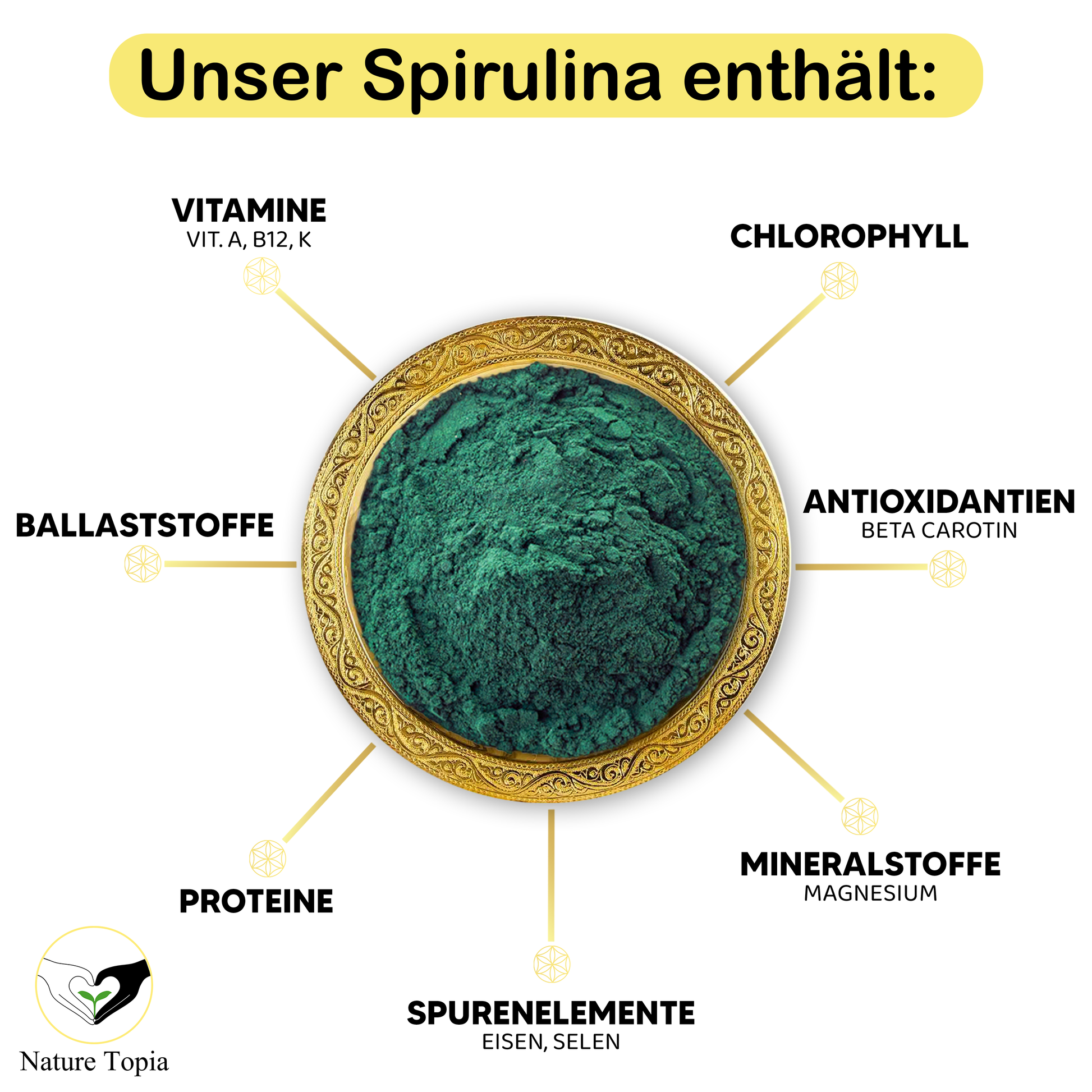 Bio Spirulina Pulver