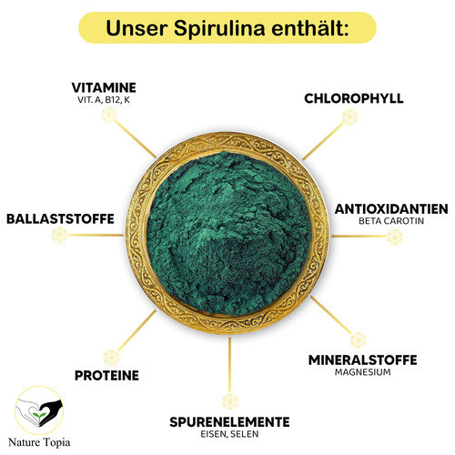 Inhaltsstoffe – Vitamine Mineralstoffe und Proteine