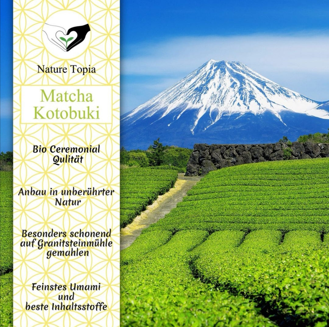 Matcha Latte – Ceremonial Matcha für den authentischen Teegenuss