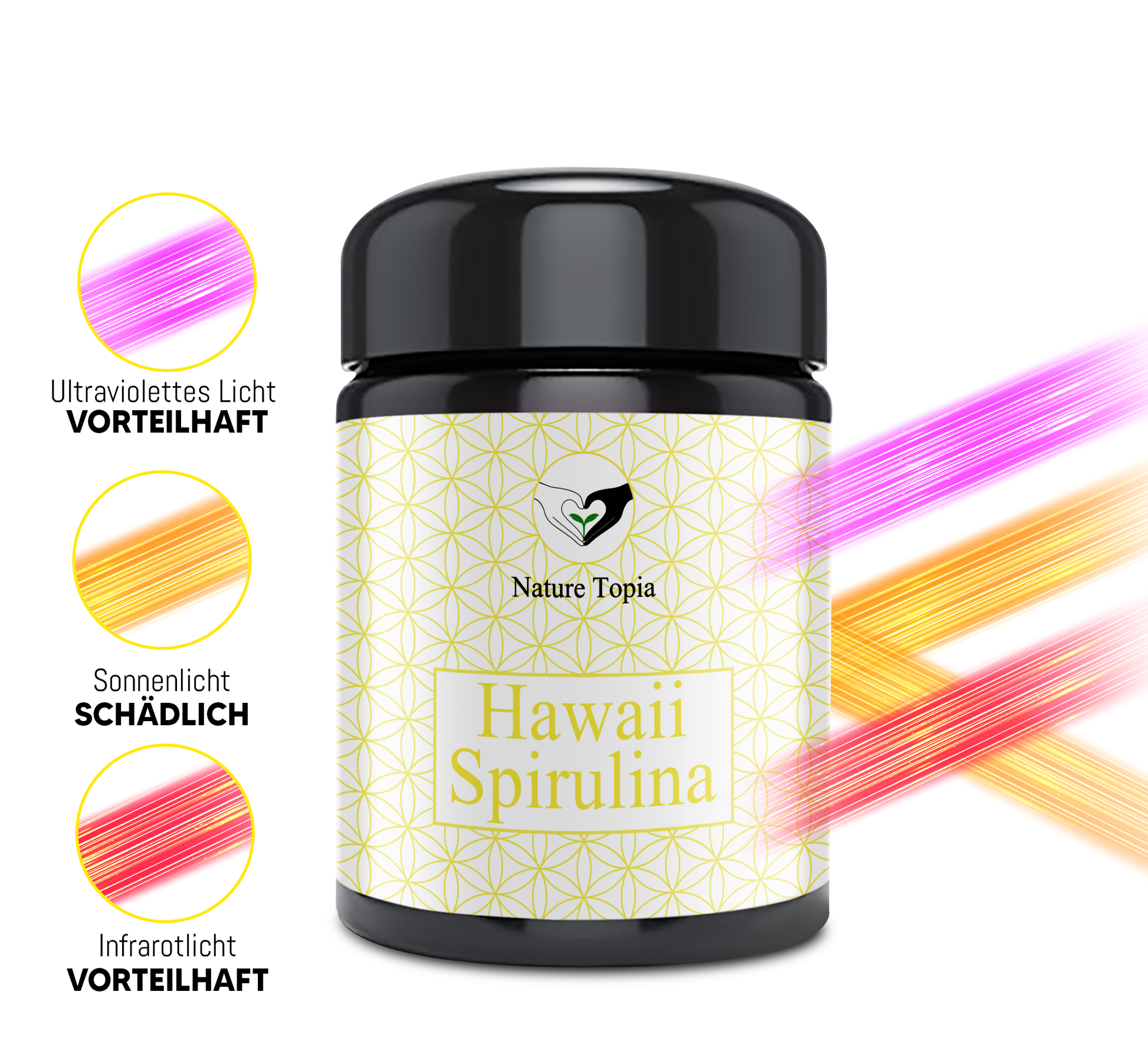 Organic spirulina powder